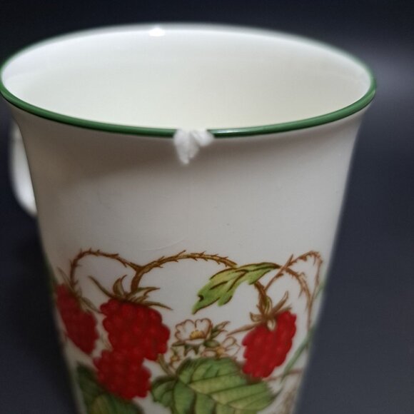 Roy Kirkham Raspberry Fruit Garden Bone China Mug AS IS - Picture 3 of 11
